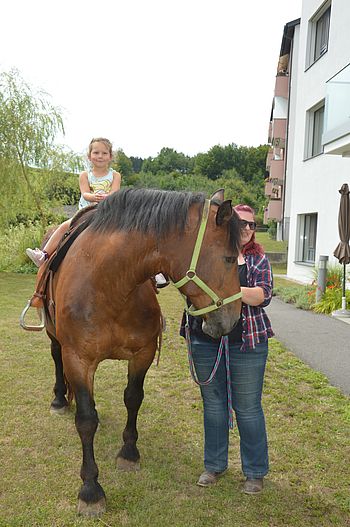 Stolz sitzt ein kleines Mädchen auf dem Rücken des Pferdes