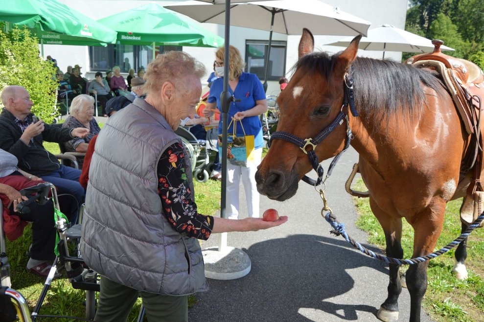 Bewohnerin füttert Pferd