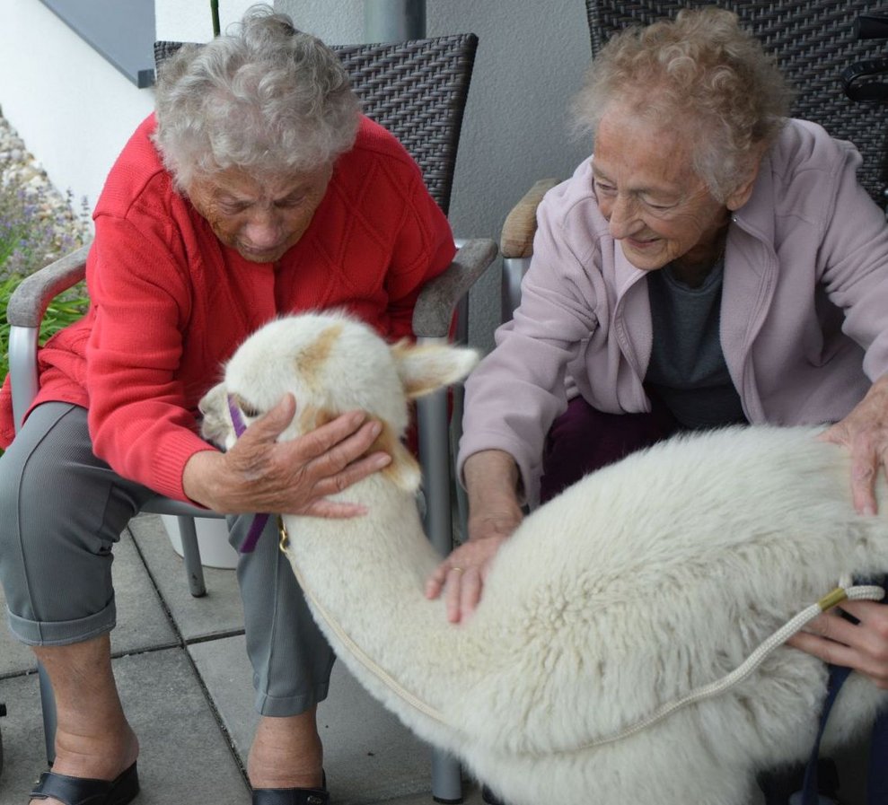 BewohnerInnen mit Alpaka