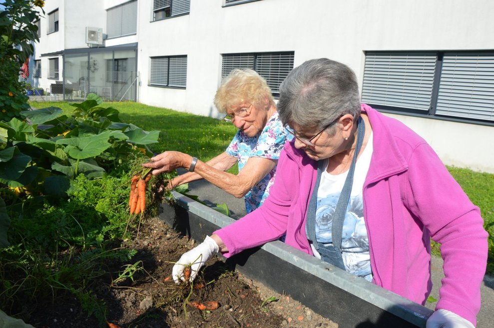 BewohnerInnen beim Beet