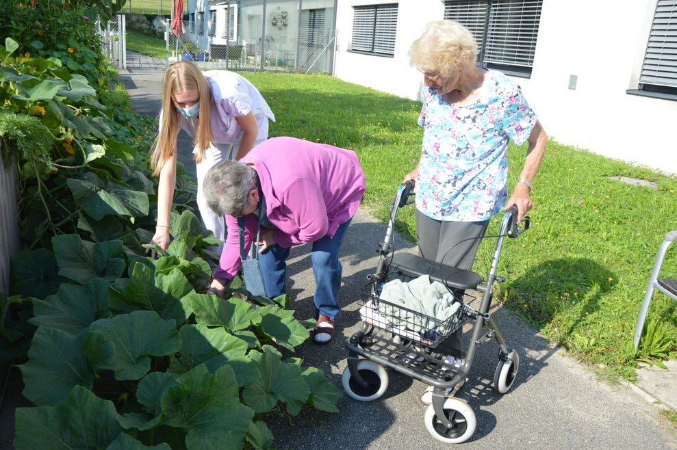 BewohnerInnen stehen bei Kürbissen