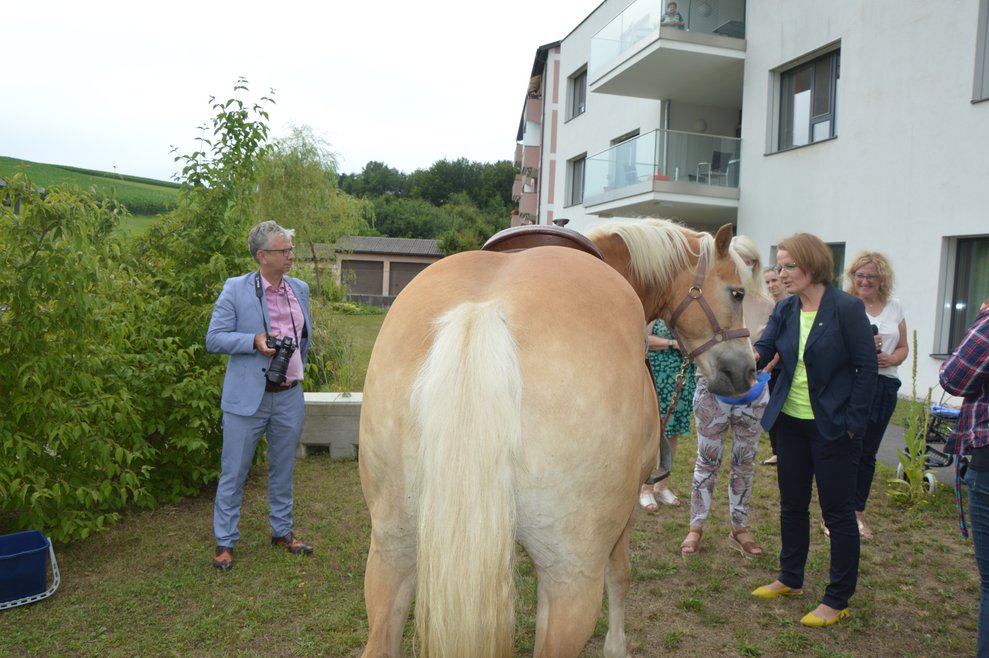 Auch Landesrätin Frau Teschl_Hofmeister bewunderte die Pferde