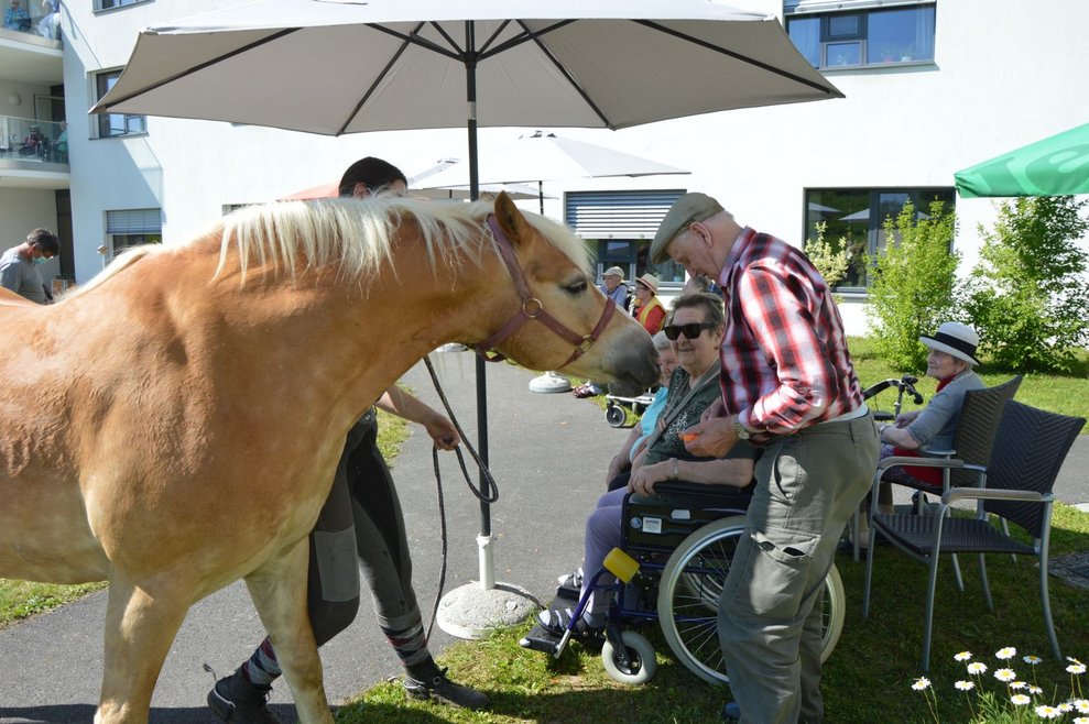 BewohnerInnen und Pferd