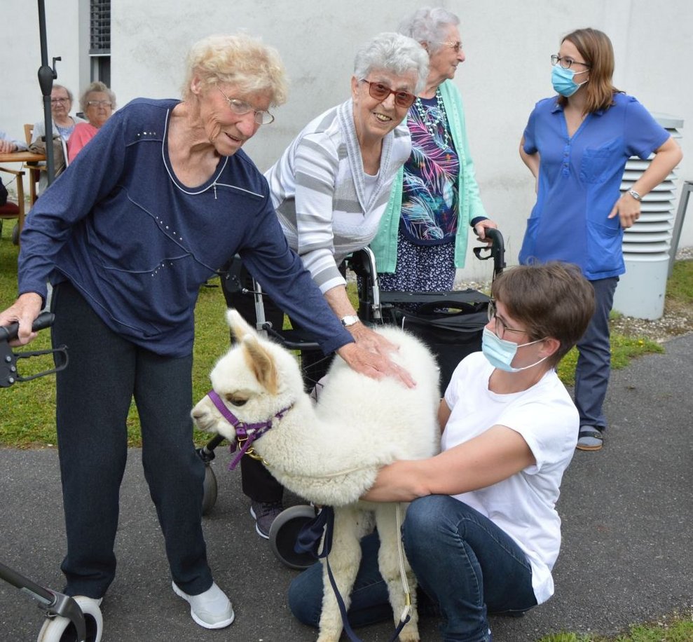 BewohnerInnen mit Alpaka