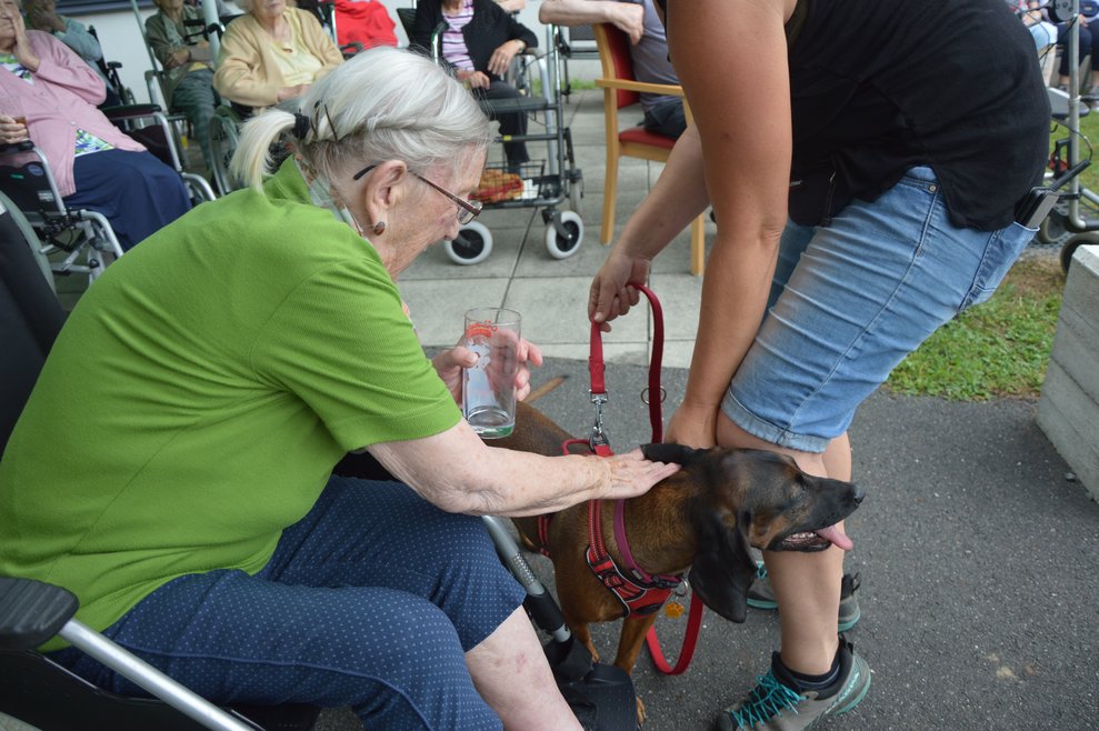 Bewohnerin Freute sich auch sehr über den Besuch des Therapiehundes der die Pferde begleitete