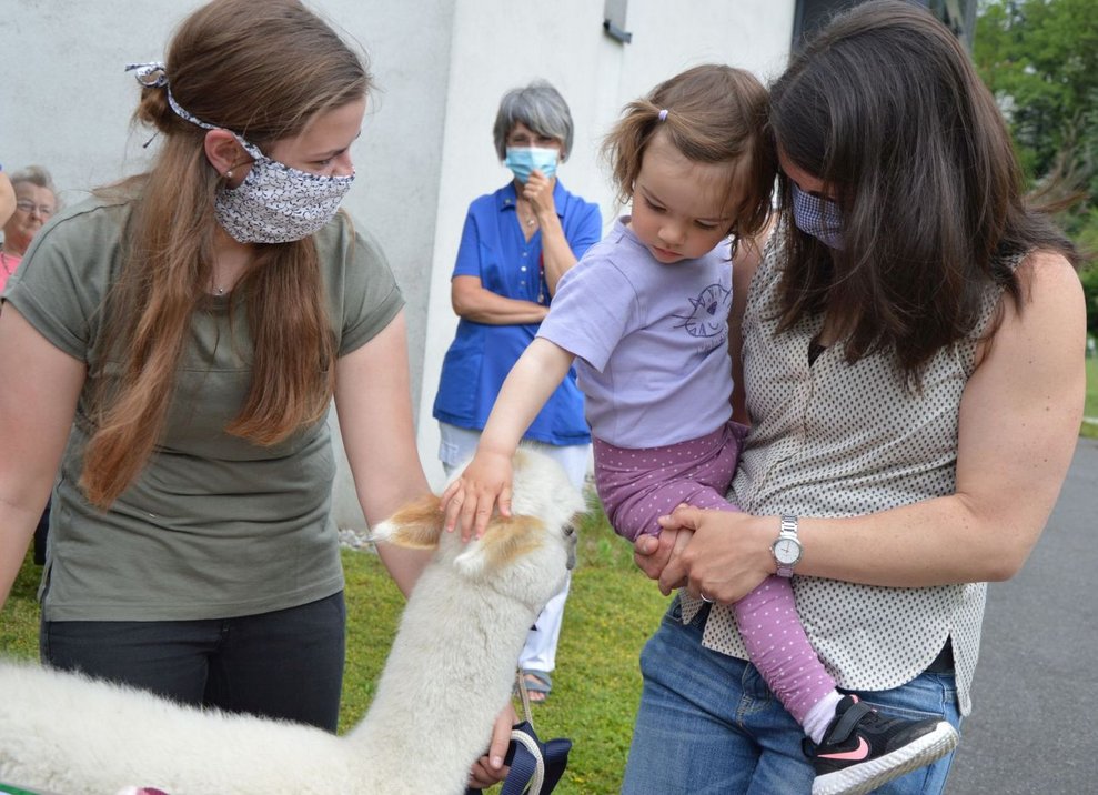Ein Kind streichelt ein Alpaka