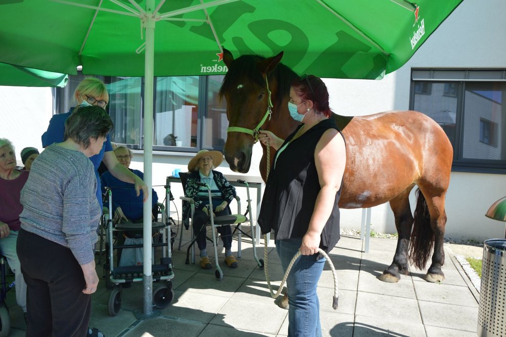 BewohnerInnen und Pferd