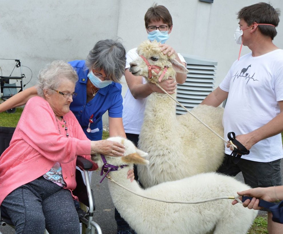 BewohnerInnen mit Alpaka