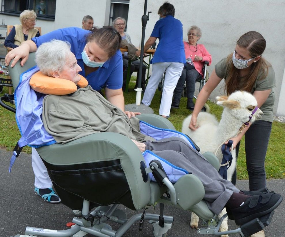 BewohnerInnen mit Alpaka