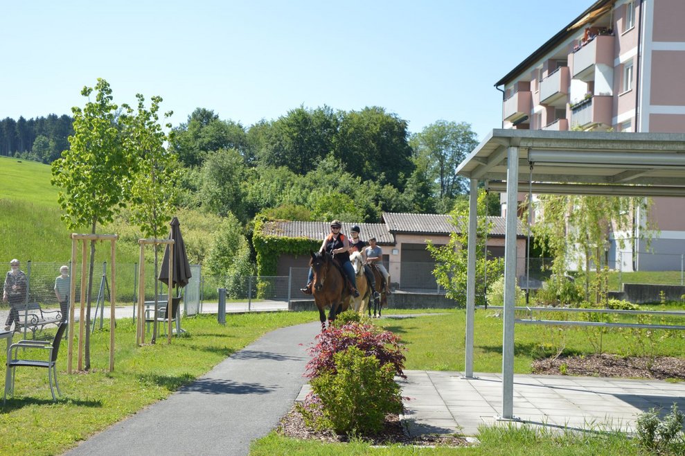 Personen reiten mit Pferden durch den Garten