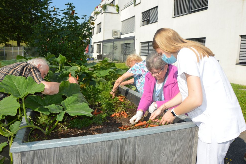 BewohnerInnen und Betreuerin beim Beet