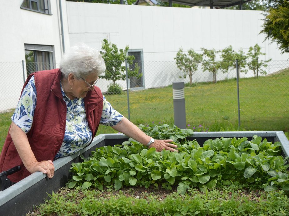 Bewohnerin bei einem Beet.
