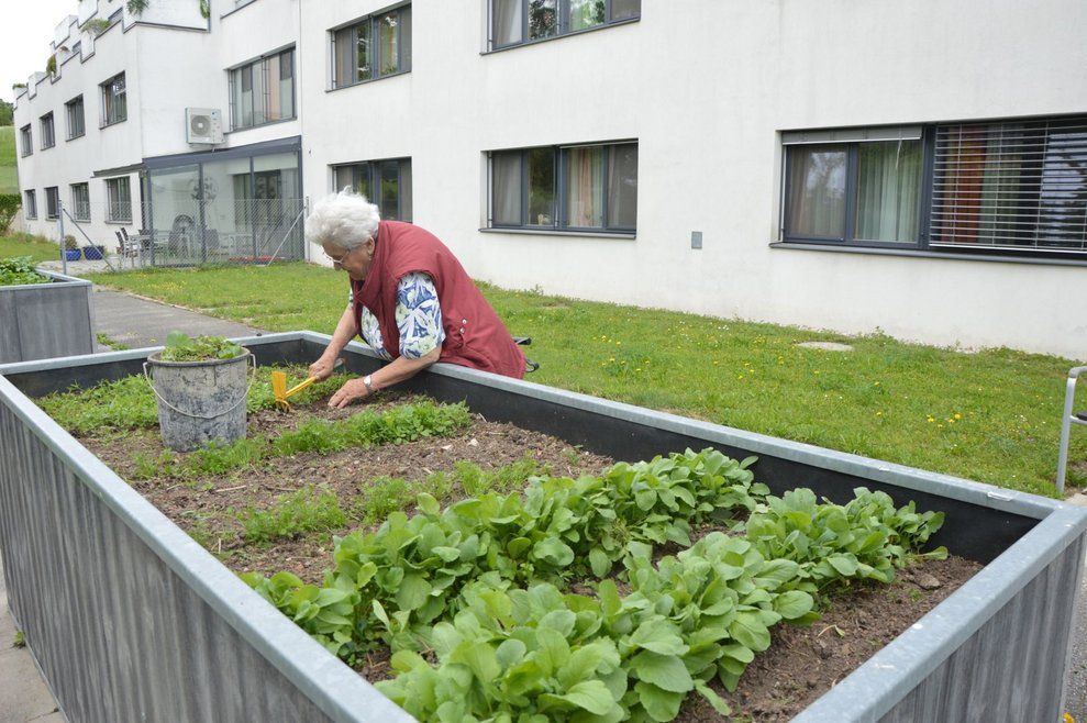 Bewohnerin beim Beet