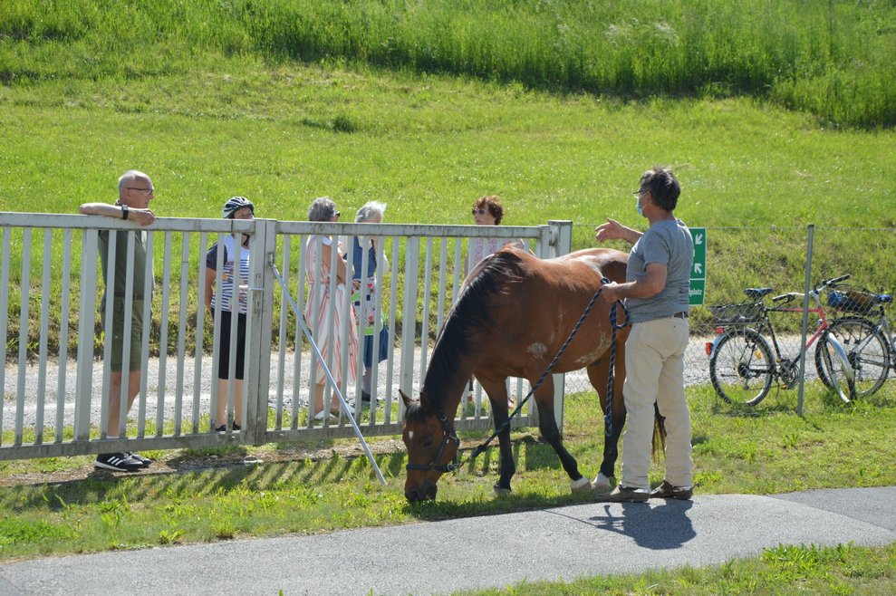 Personen stehen beim Zaun