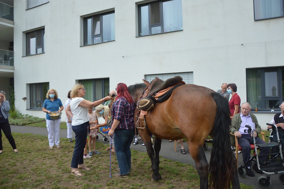 Frau Susanne Grillhofer erklärte uns über das Leben und Arbeiten mit Pferden