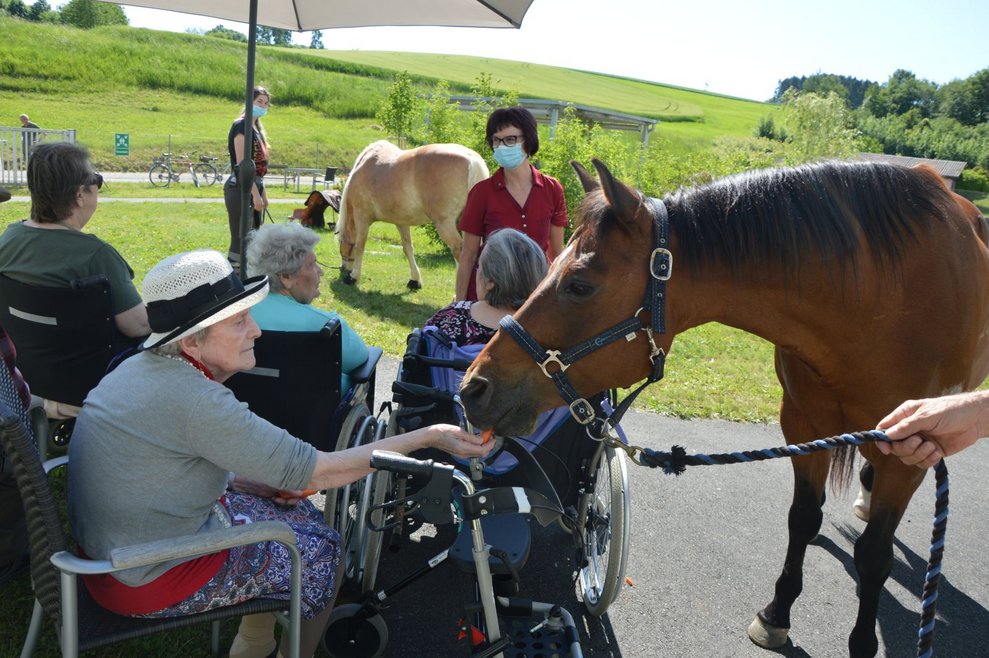 Pferd steht neben BewohnerInnen